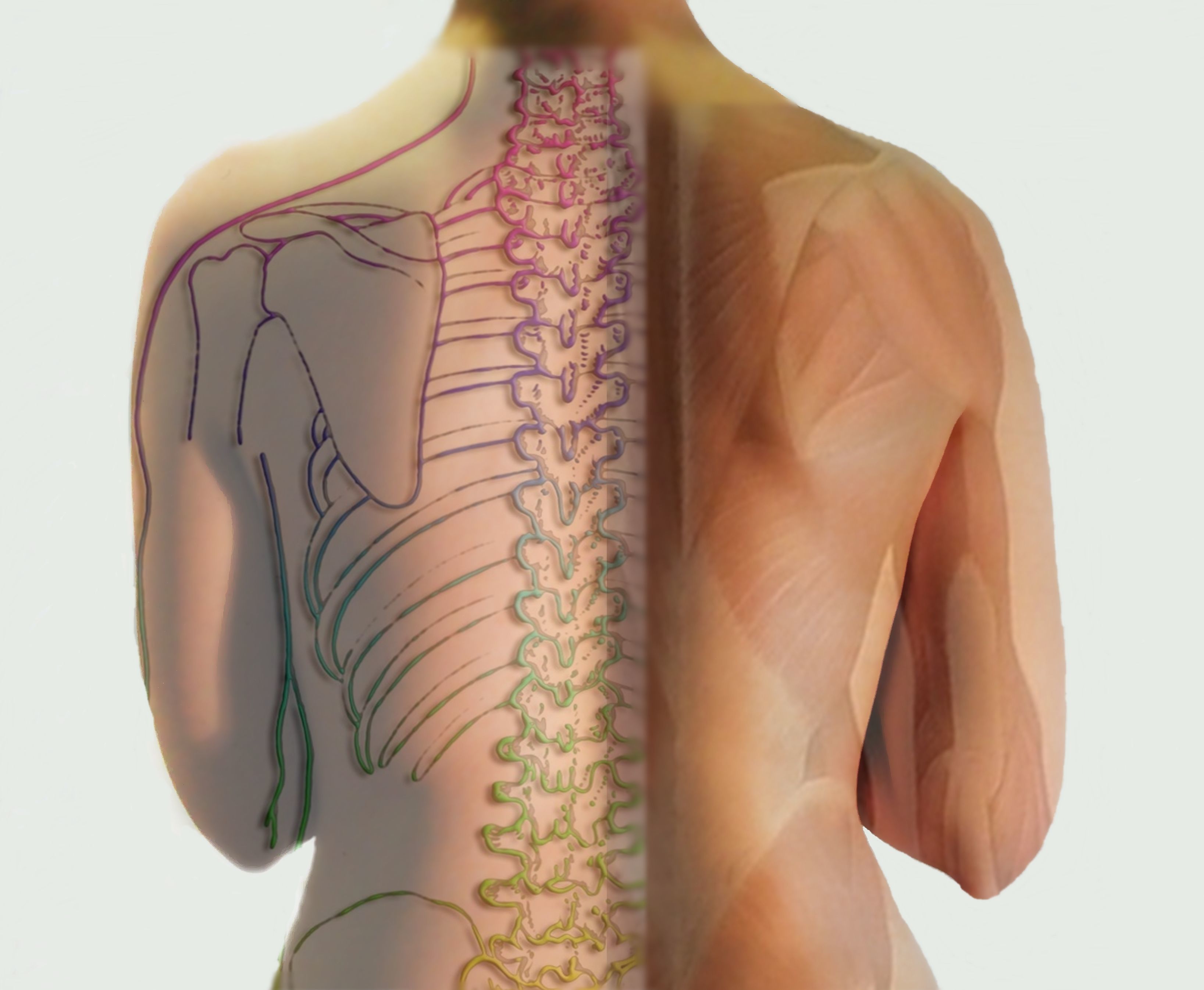 Structural osteopathy
